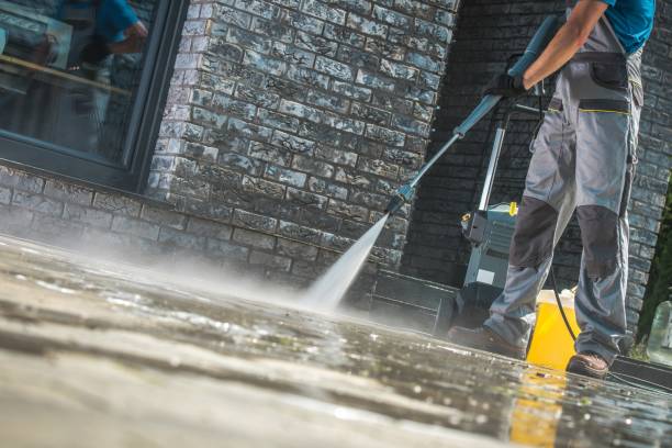 Best Gutter Cleaning  in Eslon, CA
