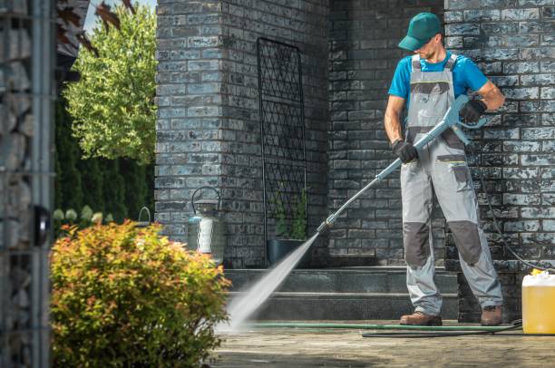 Best Roof Washing  in Eslon, CA
