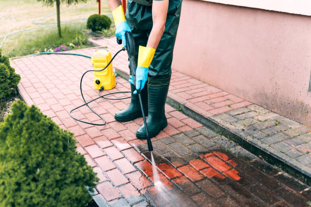 Solar Panel Cleaning in Escalon, CA