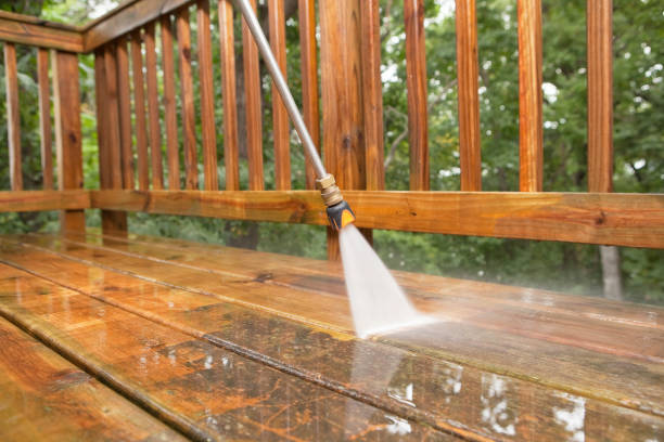 Best Playground Equipment Cleaning  in Eslon, CA